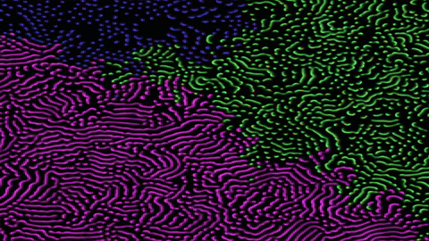 Reaction-diffusion simulation